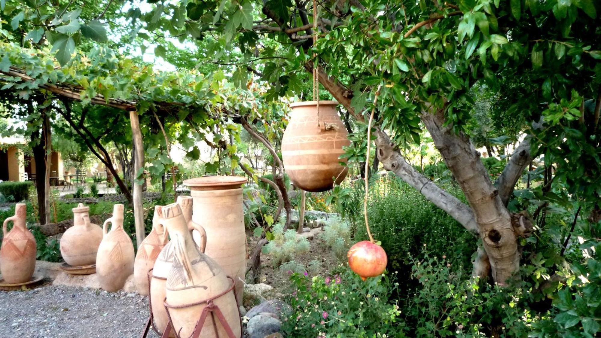 Les Jardins De Skoura Acomodação com café da manhã Exterior foto