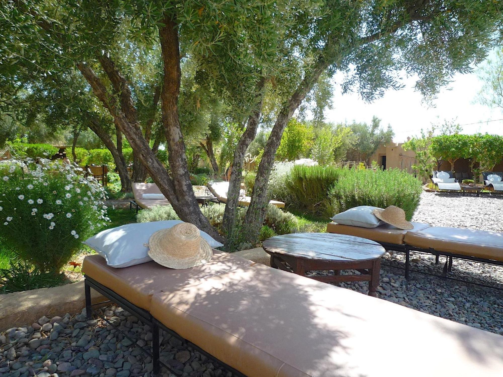 Les Jardins De Skoura Acomodação com café da manhã Exterior foto