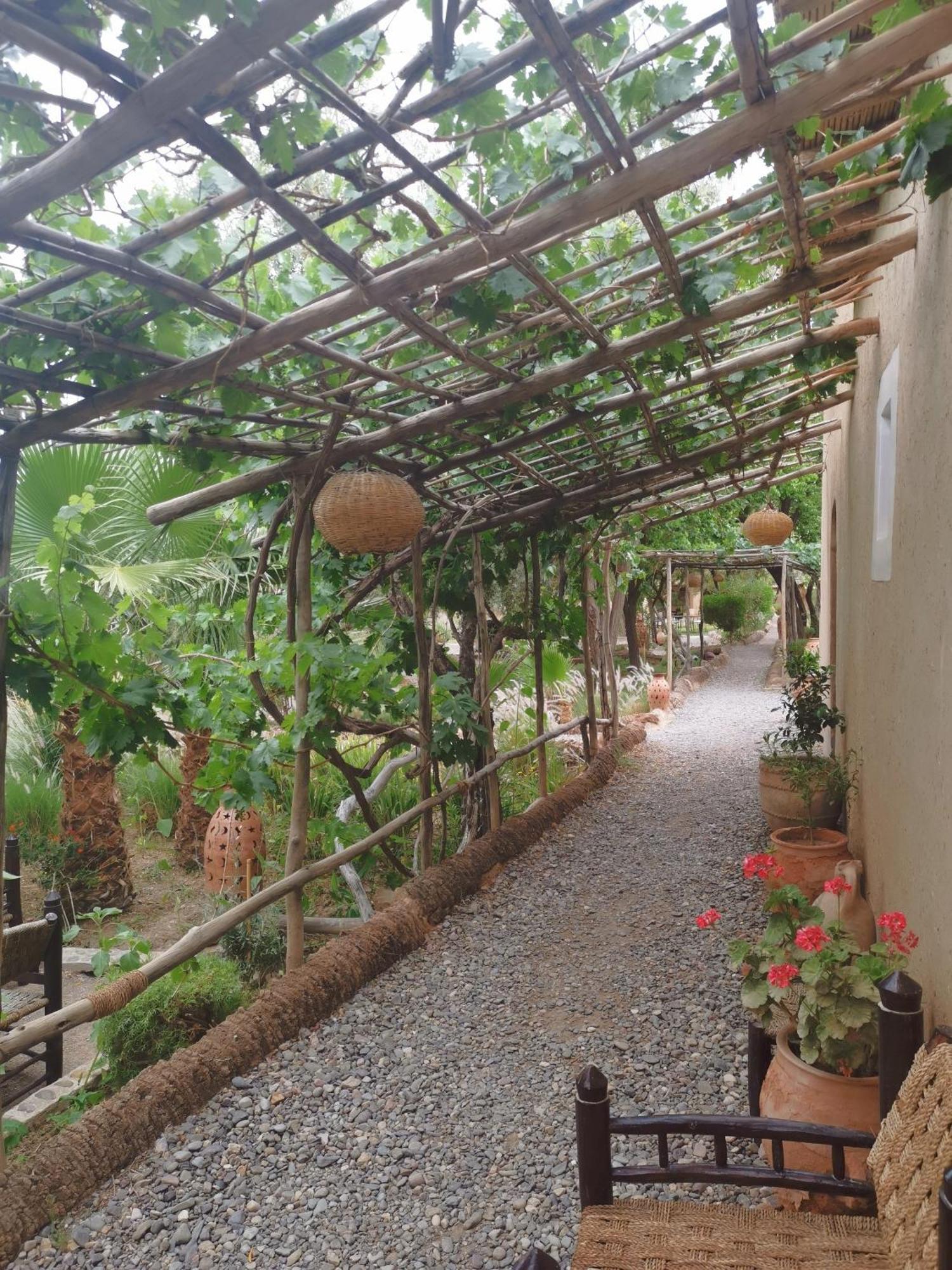 Les Jardins De Skoura Acomodação com café da manhã Exterior foto